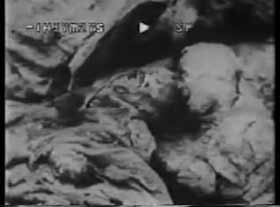 Katyn Forest massacre